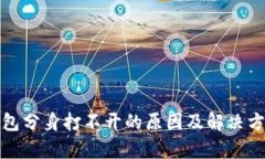 : TP钱包分身打不开的原因